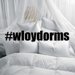 #wloydorms