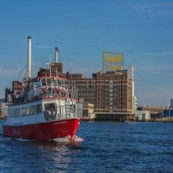 Cruises on the bay