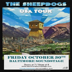 Sheepdogs2