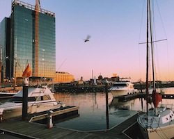 Harbor