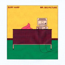 Review: Surf Harp – Mr. Big Picture