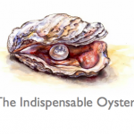 Indispensable Oyster – Show 2