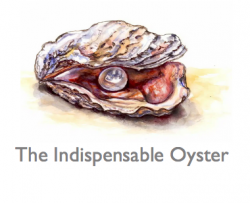 Indispensable Oyster – Show 2